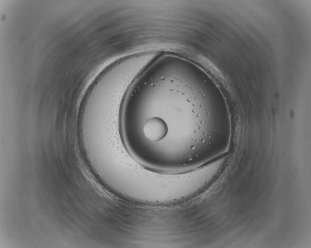 X0000085300836200703231856