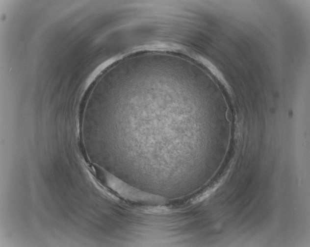 X0000085300837200703231856