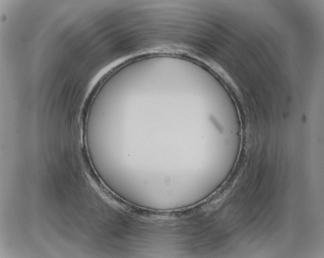 X0000085300838200703231856