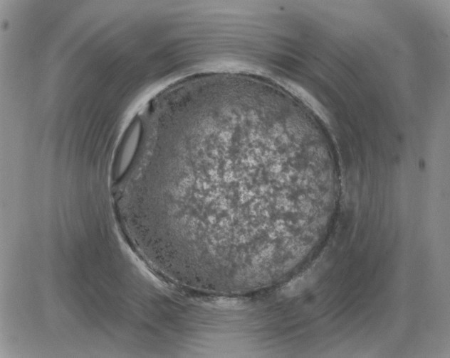 X0000085300839200703231856