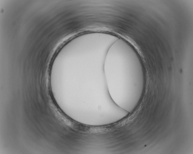 X0000085300840200703231856