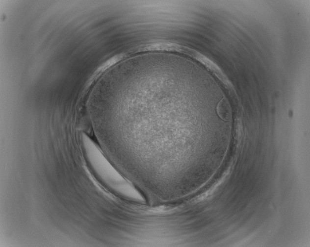 X0000085300841200703231856