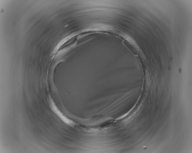 X0000085300842200703231856