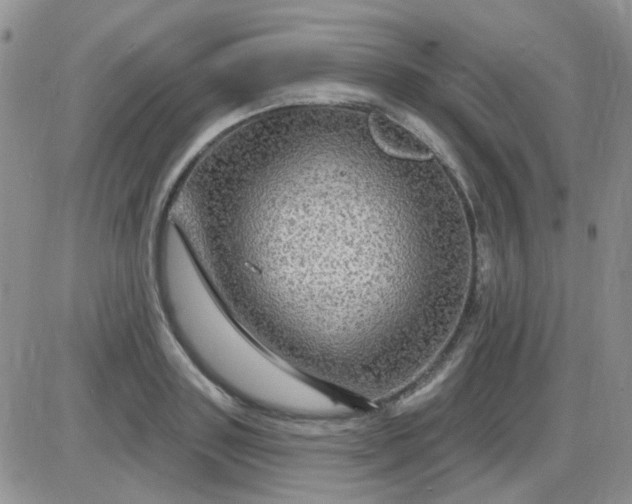 X0000085300843200703231856