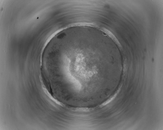 X0000085300844200703231856