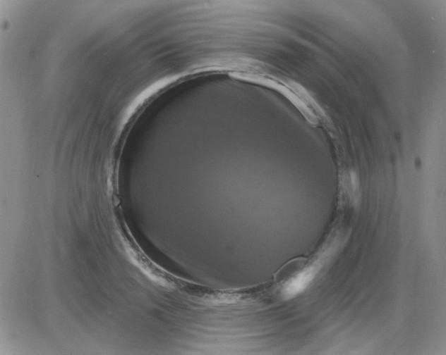 X0000085300846200703231856