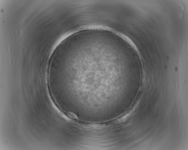 X0000085300847200703231856