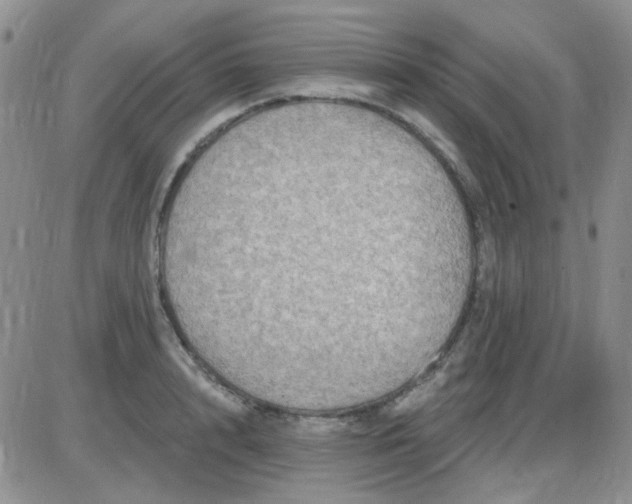 X0000085300848200703231856