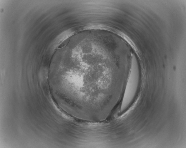 X0000085300849200703231856