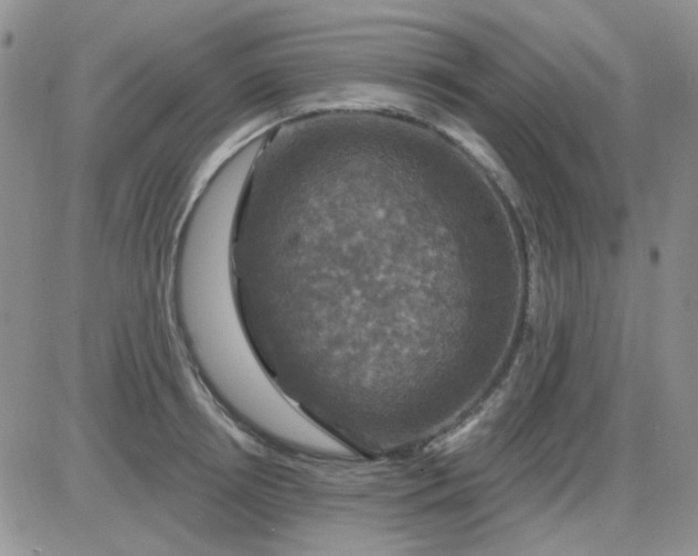 X0000085300850200703231856