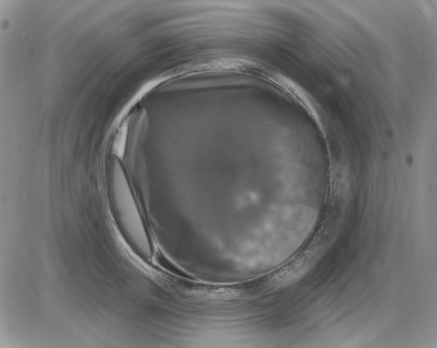 X0000085300851200703231856