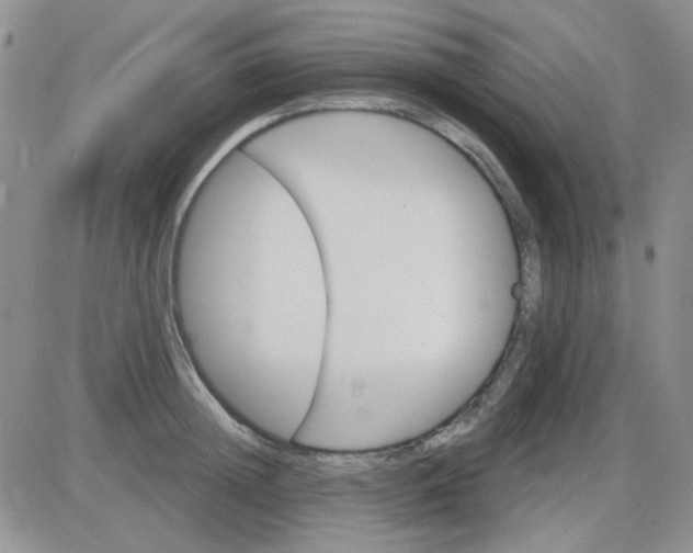 X0000085300852200703231856