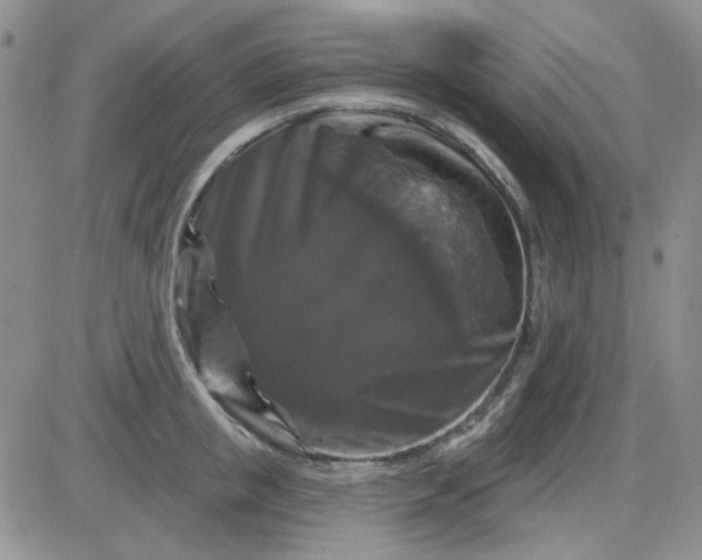 X0000085300853200703231856