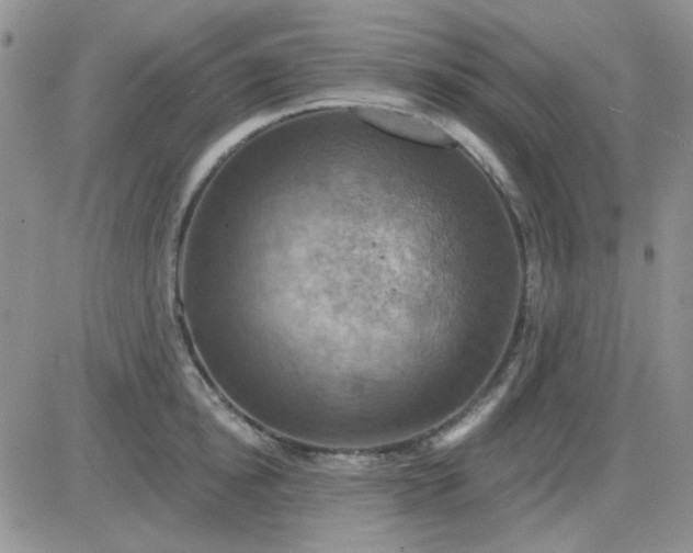 X0000085300854200703231856