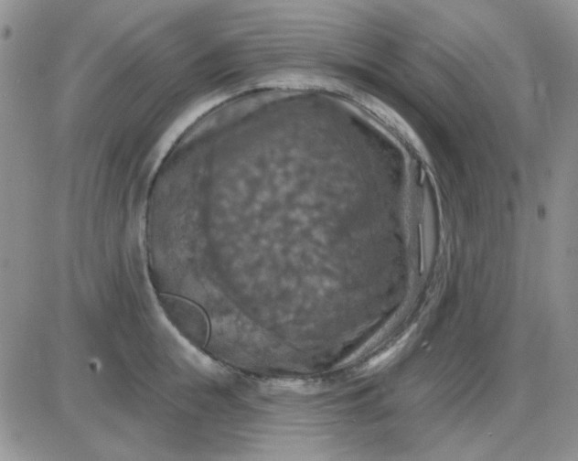 X0000085300855200703231856