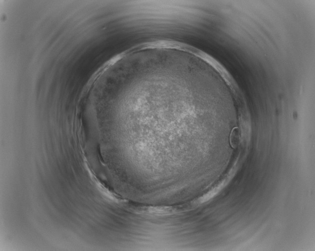 X0000085300857200703231856