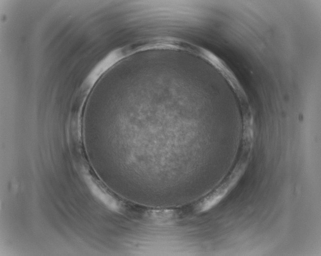 X0000085300858200703231856