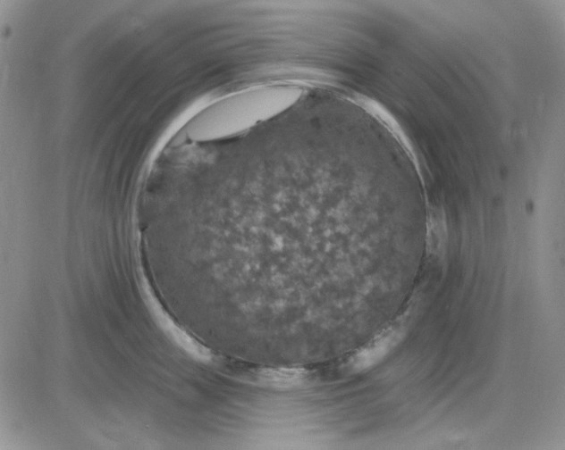 X0000085300859200703231856