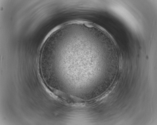 X0000085300861200703231856