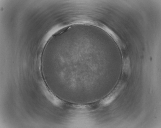 X0000085300862200703231856