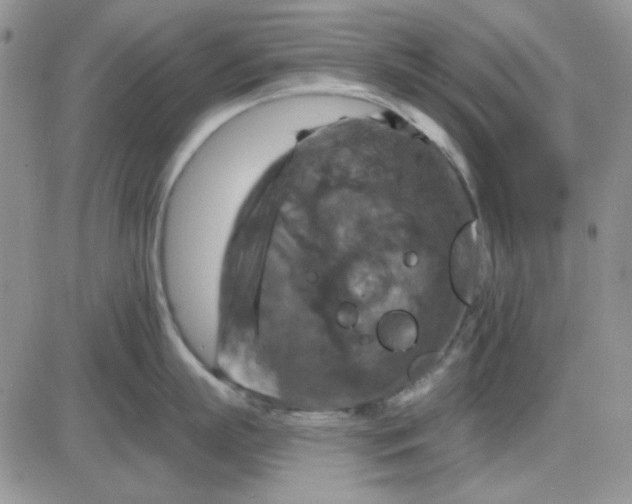 X0000085300863200703231856