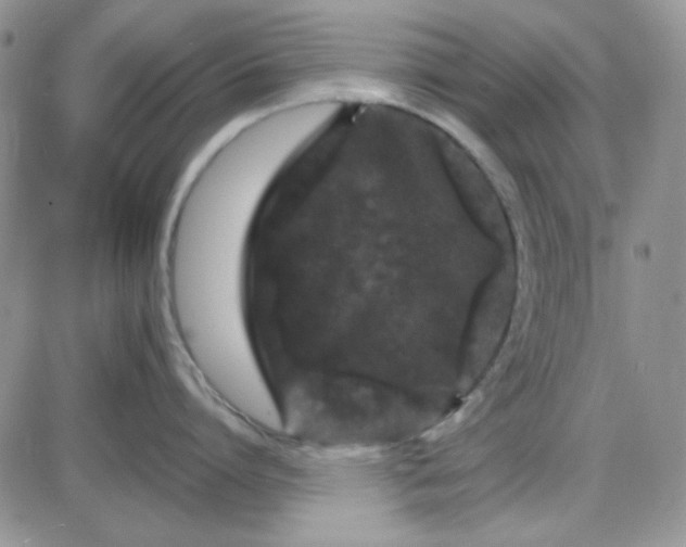 X0000085300864200703231856