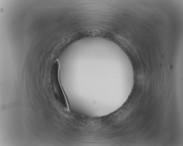 X0000085300865200703231856