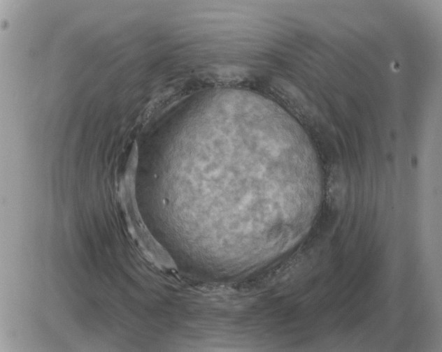 X0000085300866200703231856