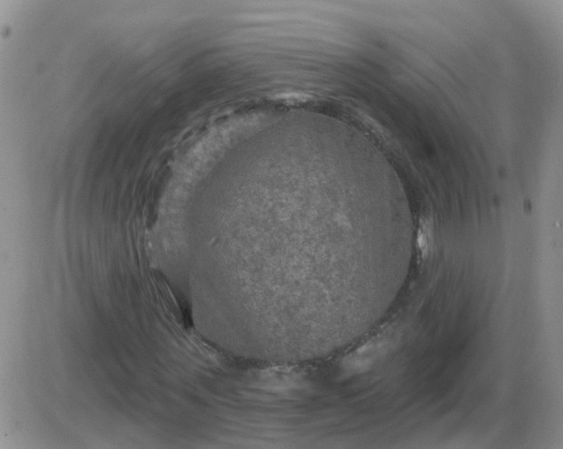 X0000085300867200703231856