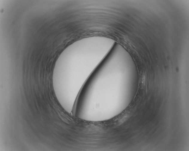 X0000085300868200703231856