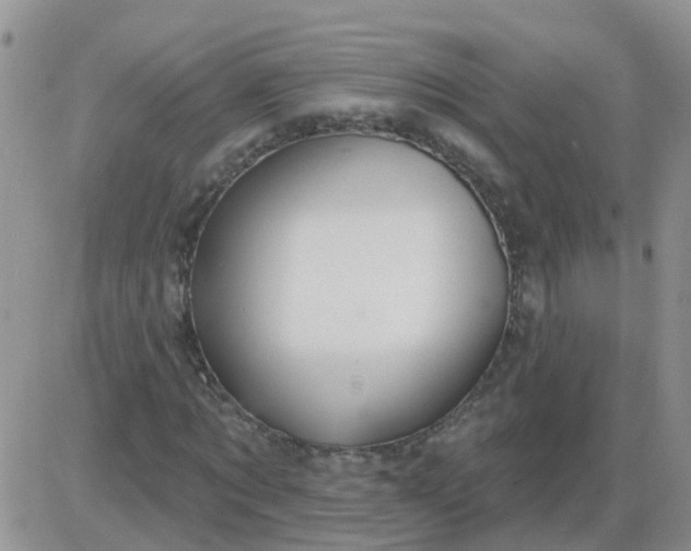 X0000085300869200703231856