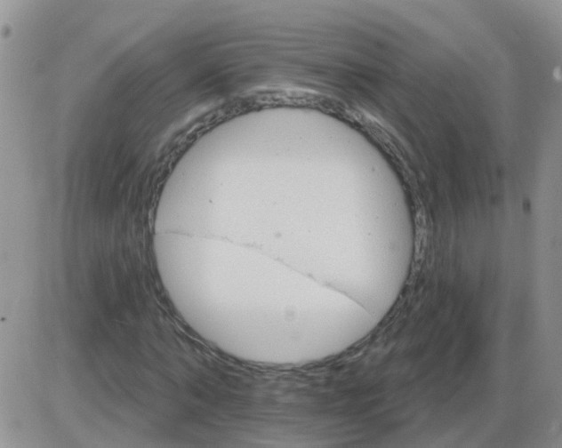 X0000085300870200703231856