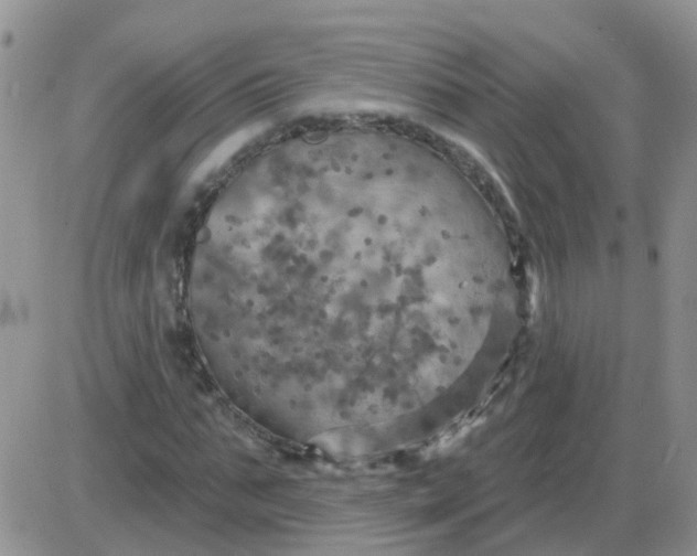 X0000085300871200703231856