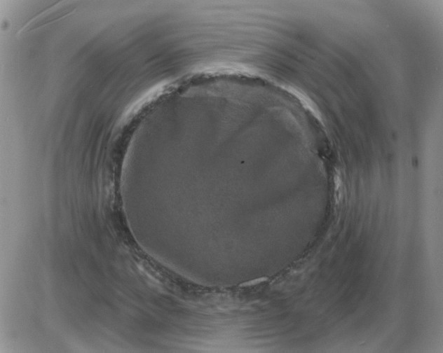 X0000085300872200703231856