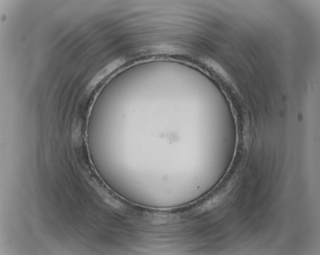 X0000085300873200703231855