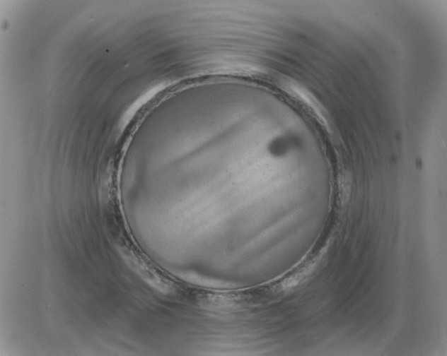 X0000085300875200703231855