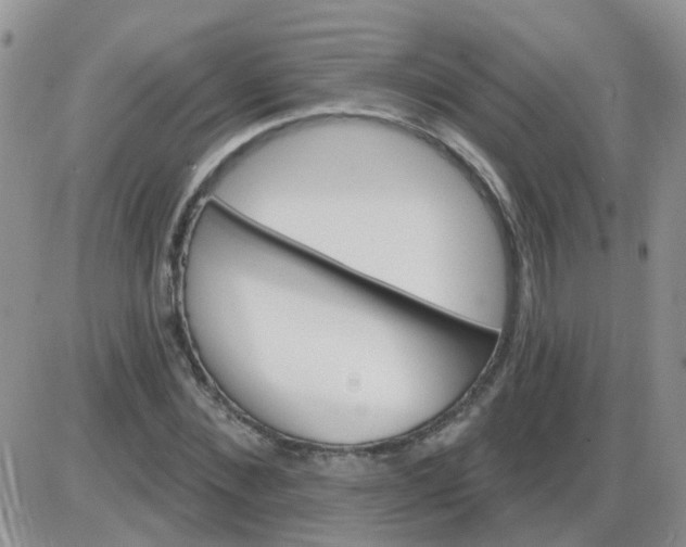 X0000085300876200703231855