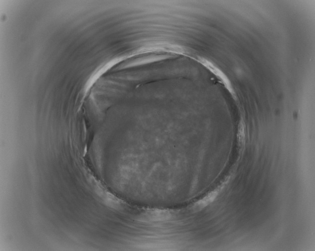 X0000085300877200703231855