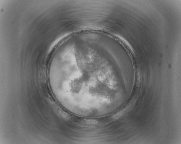 X0000085300878200703231855