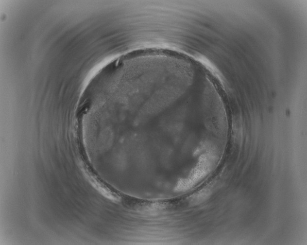 X0000085300879200703231855