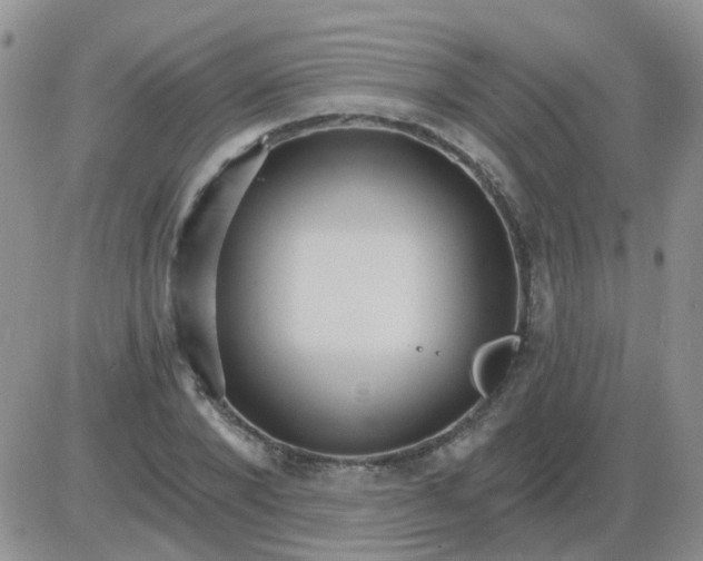 X0000085300880200703231855