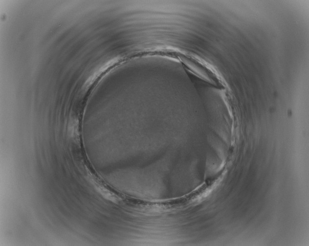 X0000085300881200703231855