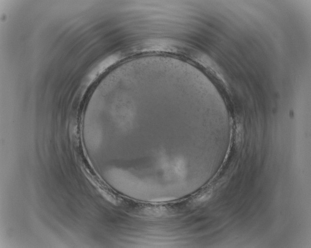 X0000085300882200703231855