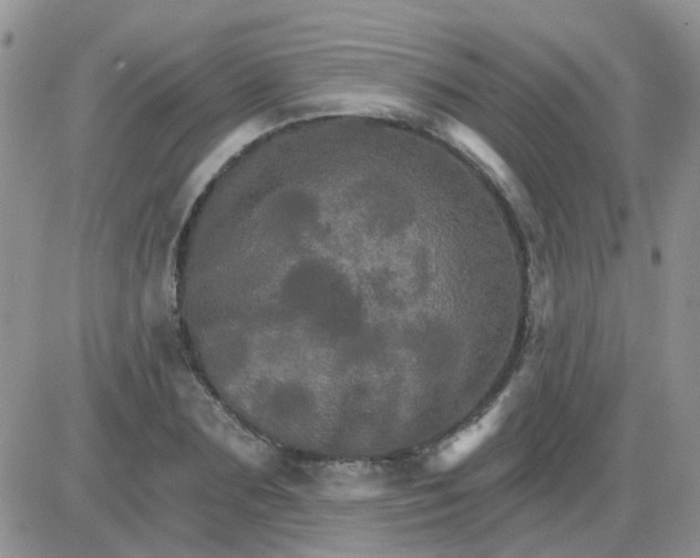 X0000085300883200703231855