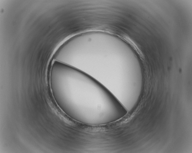 X0000085300884200703231855