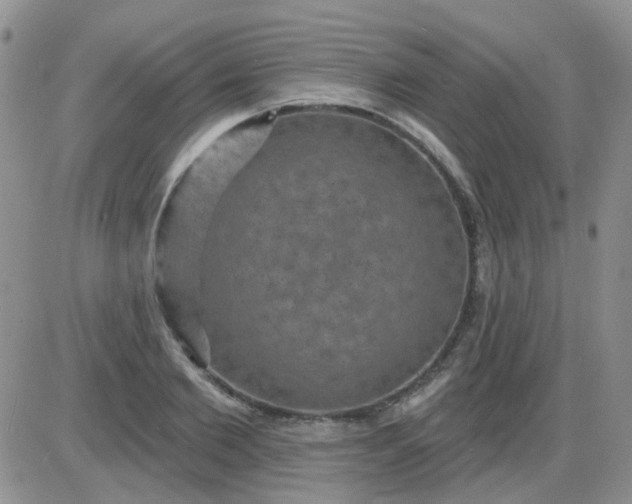 X0000085300885200703231855