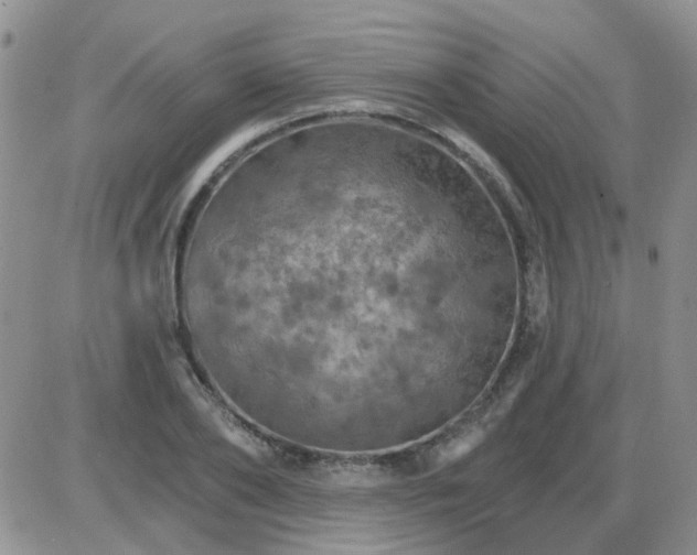 X0000085300886200703231855