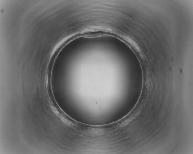 X0000085300888200703231855