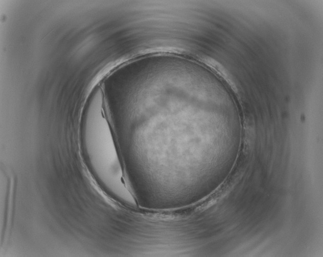 X0000085300890200703231855