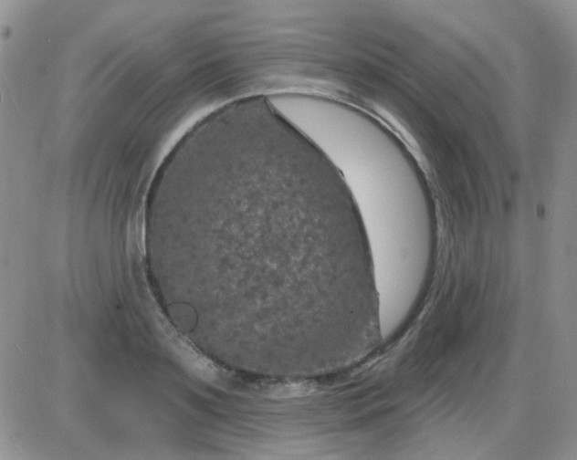 X0000085300891200703231855